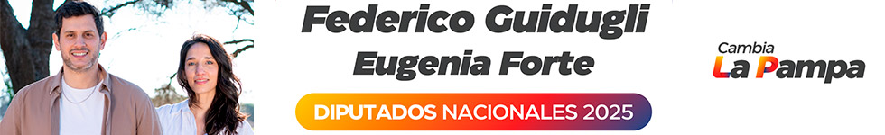 Descripción nueva